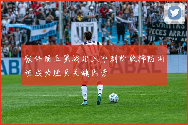 张伟丽卫冕战进入冲刺阶段摔防训练成为胜负关键因素